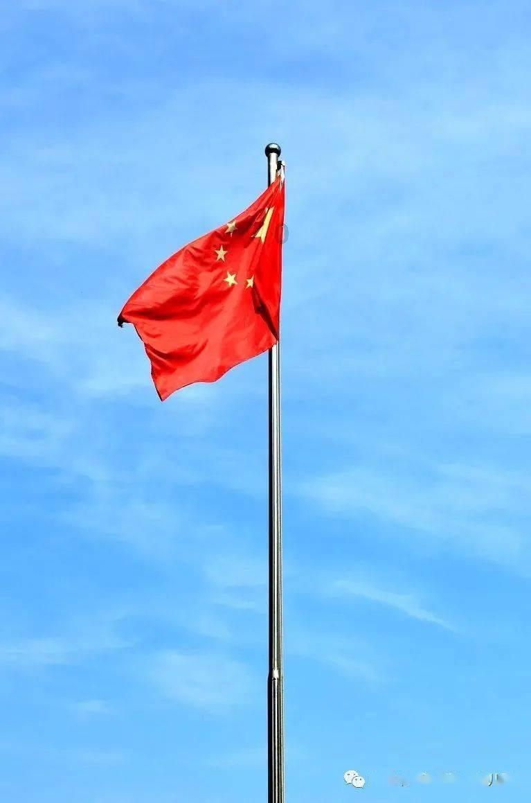 龙江县掀起和牛养殖热潮