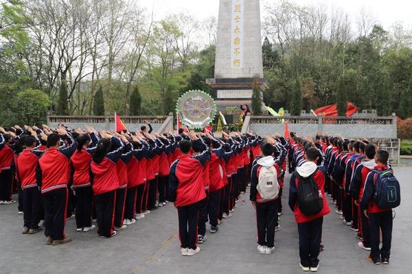 五彩鹦鹉救援